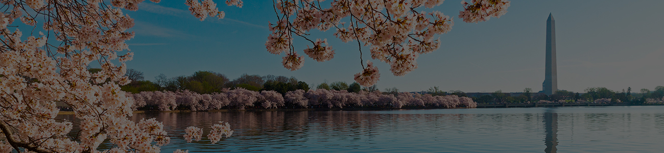 Picture of Lincoln Memorial Reflecting Pool